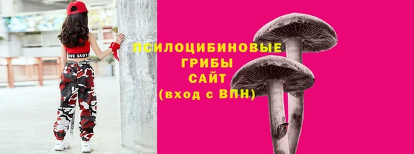 a pvp Алексеевка