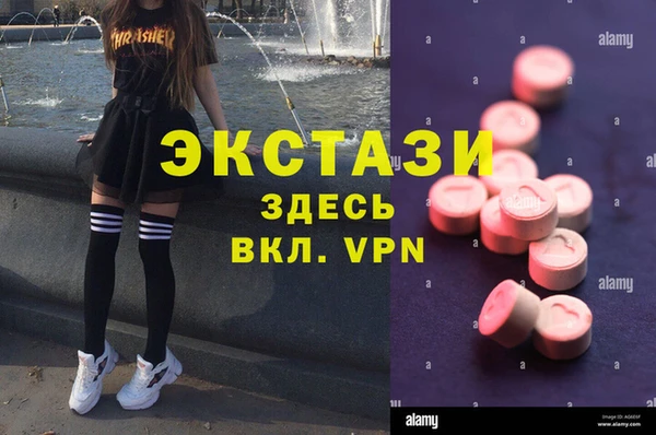 стаф Алзамай