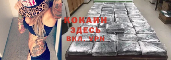 сатива Абдулино
