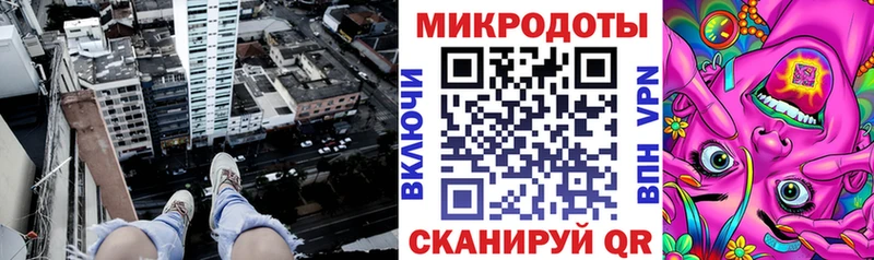 блэк спрут вход  Переславль-Залесский  Псилоцибиновые грибы Magic Shrooms 