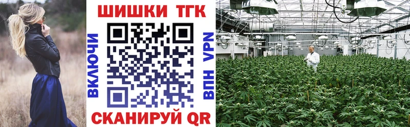 Шишки марихуана семена продажа наркотиков Переславль-Залесский
